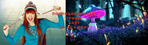 гашик Горняк