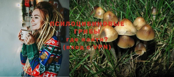 таблы Вяземский