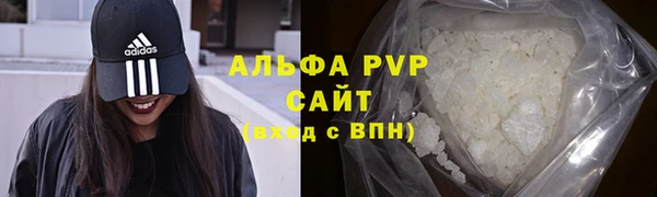 гашик Горняк
