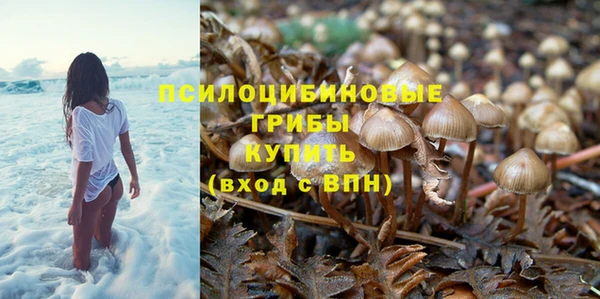 гашик Горняк