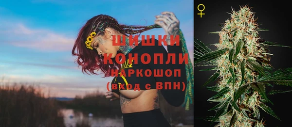 гашик Горняк